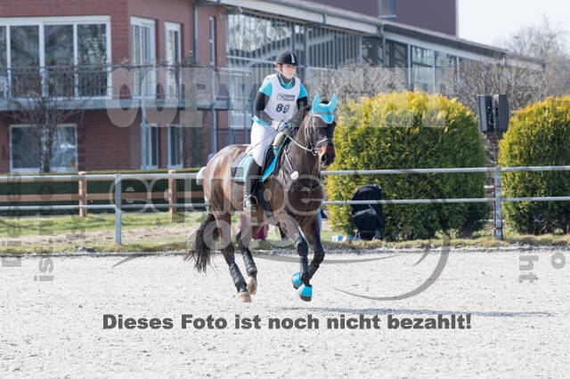 Eventing Langenfeld 2018