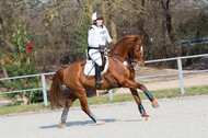 Eventing Langenfeld