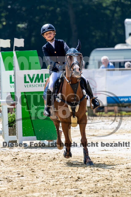 Goldene Schärpe 2021 - Ponys