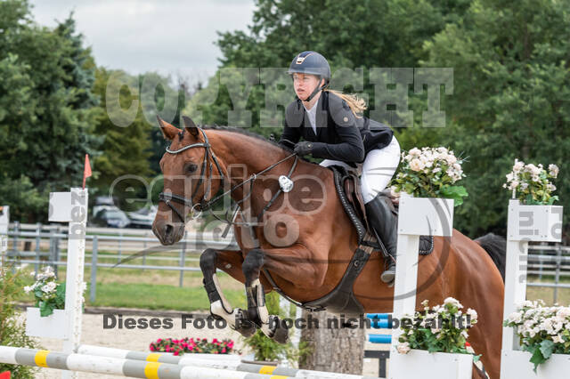 Late-Entry-Vielseitigkeit Langenfeld (06.+07.07.2020)