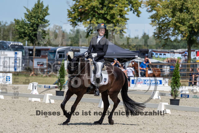 Kronenberg - De Peelbergen (August 2020)