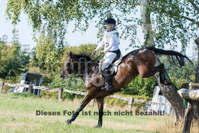 Vielseitigkeitsturnier RSV St. Hubertus Wesel Obrighoven