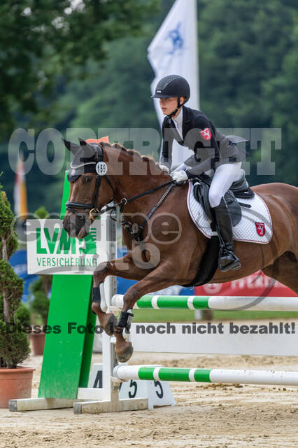 Goldene Schärpe 2021 - Ponys