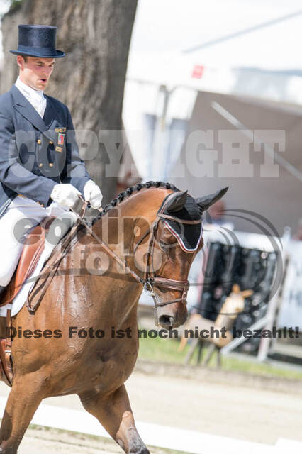 European Championship Eventing 2017