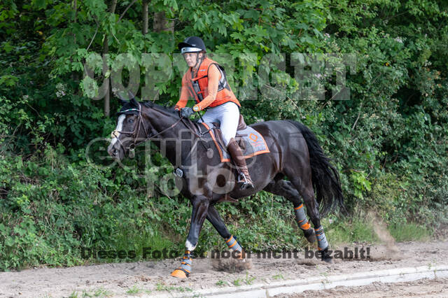Late-Entry-Vielseitigkeit Langenfeld (11.+13./14.06.2020)
