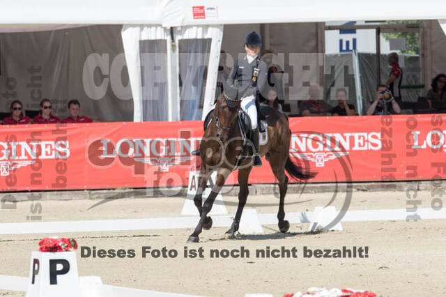 FEI European Championship Eventing 2017