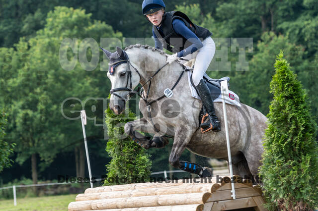 Goldene Schärpe 2021 - Ponys