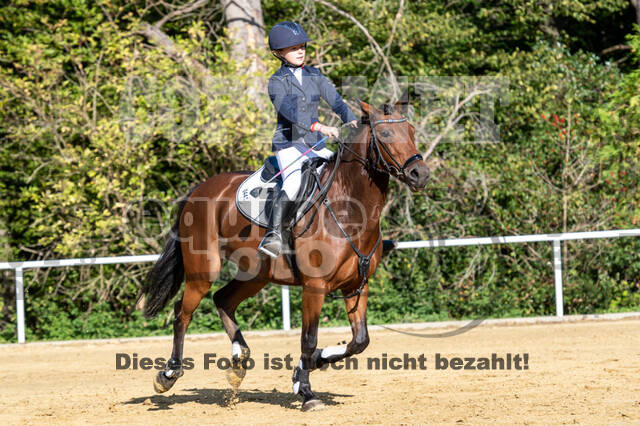 RFV Dinslaken-Hiesfeld (Herbstturnier)