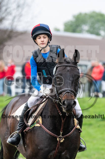 Goldene Schärpe 2020 - Pferde