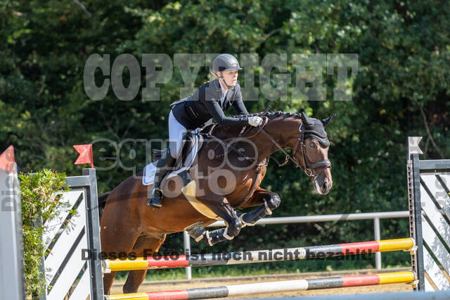 RFV Dinslaken-Hiesfeld (Herbstturnier)