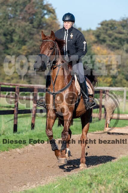 Vielseitigkeitslehrgang mit Jürg Kurbel (9.+10.11.2019)