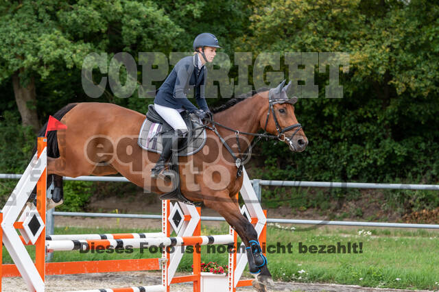 Late-Entry-Vielseitigkeit Langenfeld (06.+07.07.2020)