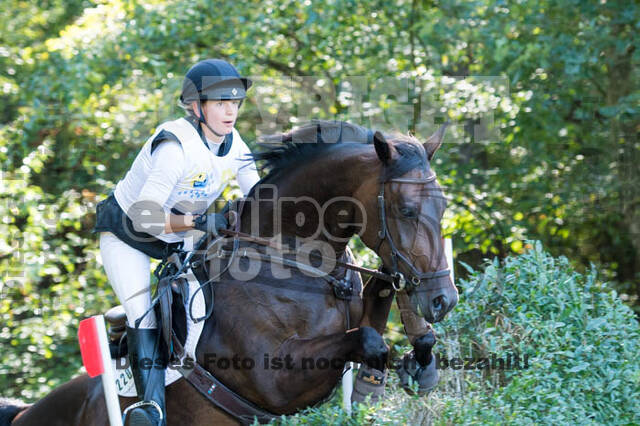 Vielseitigkeitsturnier RSV St. Hubertus Wesel Obrighoven