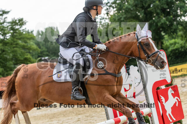 Goldene Schärpe 2021 - Ponys