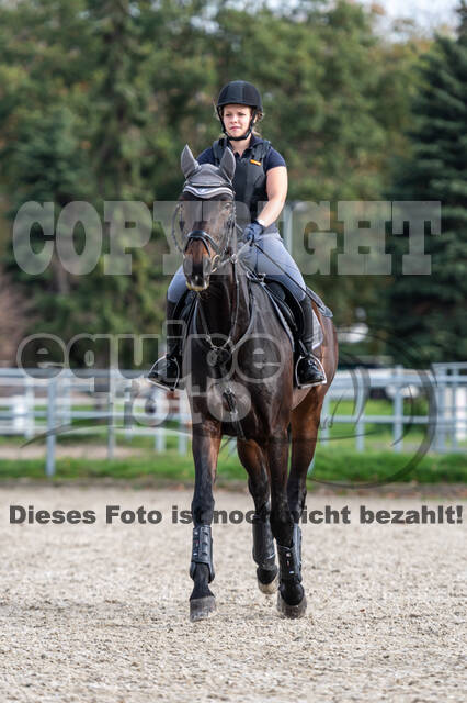 IGV Lehrgang der Sieger der Cups mit Frank Ostholt
