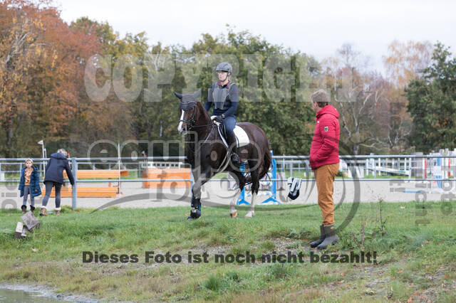IGV Lehrgang der Sieger der Cups mit Frank Ostholt