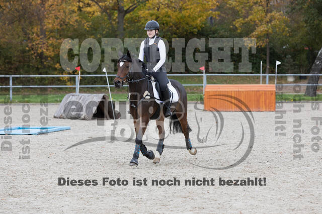 IGV Lehrgang der Sieger der Cups mit Frank Ostholt