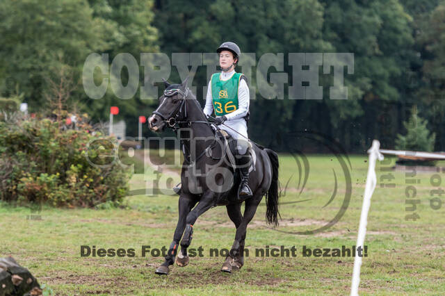 Vielseitigkeit RSV Wesel Obrighoven (26.+27.09.2020)