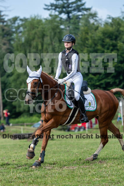 Goldene Schärpe 2021 - Ponys