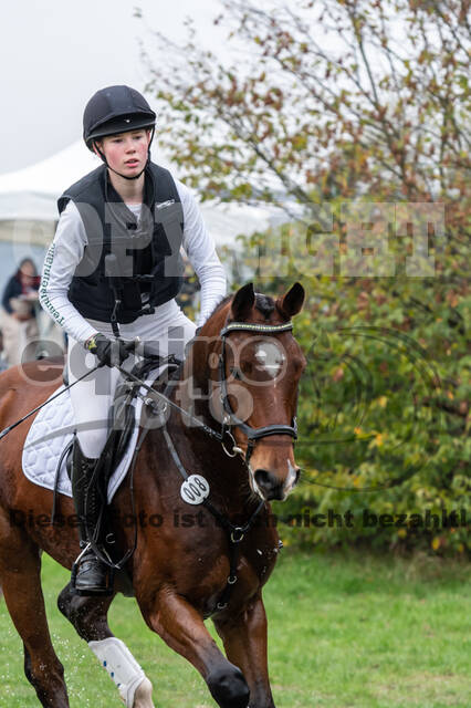 Goldene Schärpe 2020 - Pferde