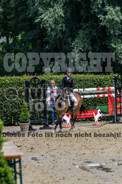 Goldene Schärpe 2021 - Ponys