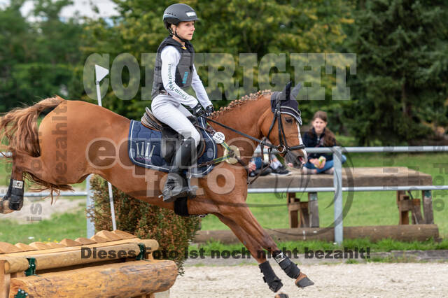 Late-Entry-Vielseitigkeit Langenfeld (06.+07.07.2020)