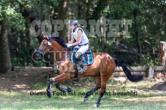 Late-Entry Vielseitigkeit Hamminkeln/Wesel (01.+02.08.2020)