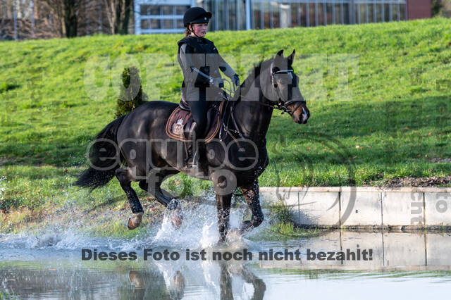 IGV Lehrgang der Sieger der Cups mit Frank Ostholt