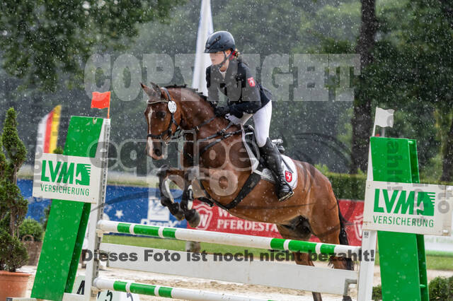Goldene Schärpe 2021 - Ponys