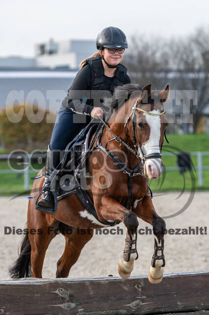 IGV Lehrgang der Sieger der Cups mit Frank Ostholt