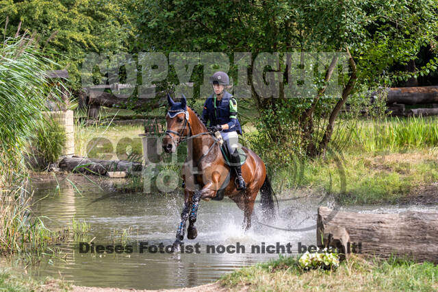 Late-Entry Vielseitigkeit Hamminkeln/Wesel (01.+02.08.2020)