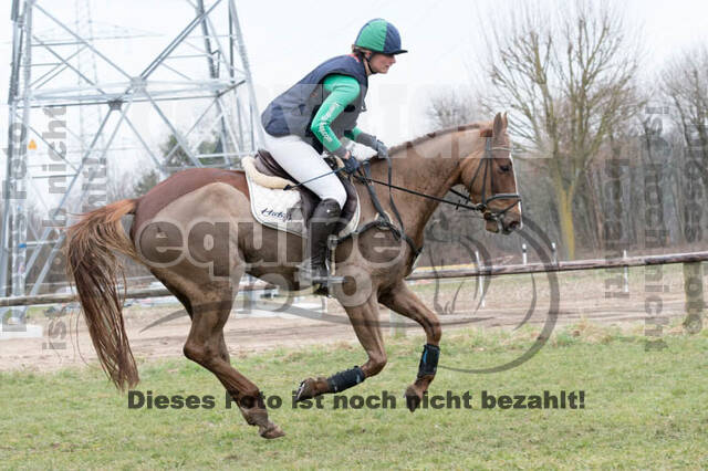 Jungpferdetag Hamminkeln