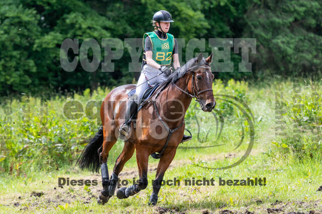 Westerstede Horse Trials (10.-13.06.2021)