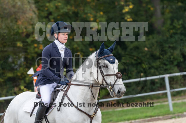 Goldene Schärpe 2020 - Pferde