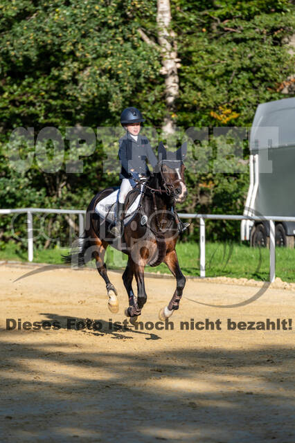 RFV Dinslaken-Hiesfeld (Herbstturnier)