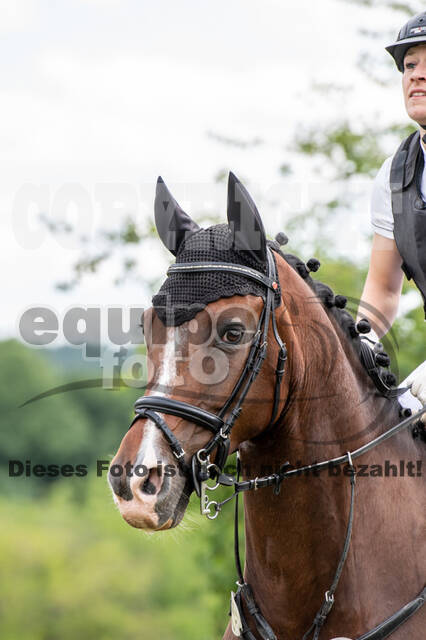 Bonn-Rodderberg Late-Entry-Vielseitigkeit (30.06.2020)