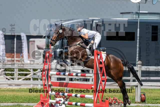 Kronenberg - De Peelbergen (August 2020)