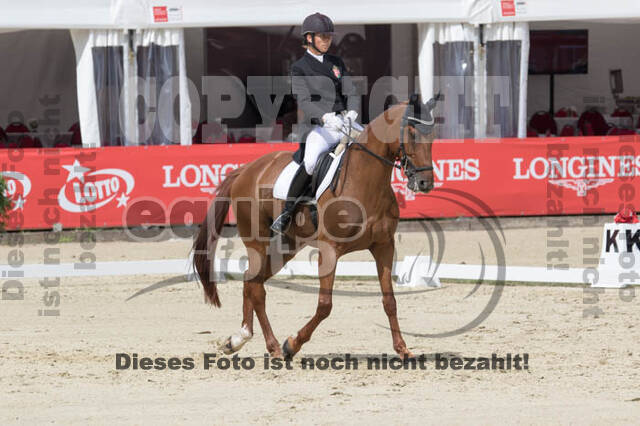 FEI European Championship Eventing 2017