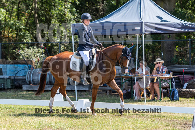 Kronenberg - De Peelbergen (August 2020)