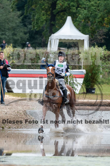 Deutsche Meisterschaft Vielseitigkeit (Luhmühlen)