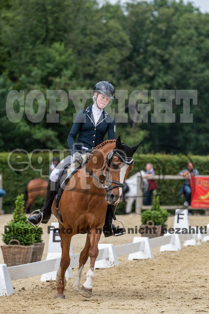 Goldene Schärpe 2021 - Ponys