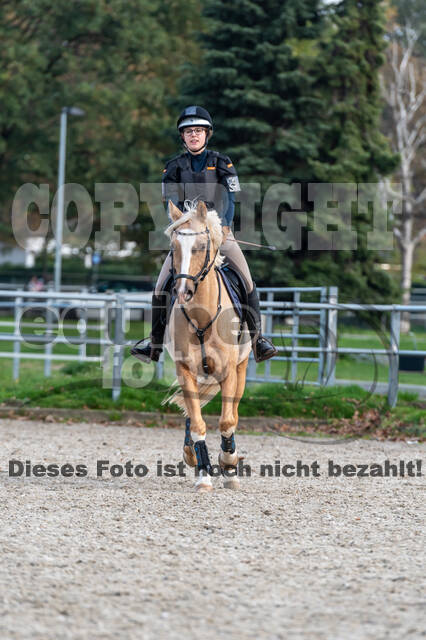 IGV Lehrgang der Sieger der Cups mit Frank Ostholt