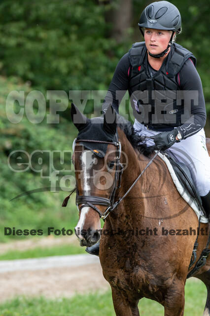 Late-Entry-Vielseitigkeit Langenfeld (06.+07.07.2020)