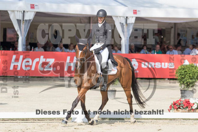 FEI European Championship Eventing 2017