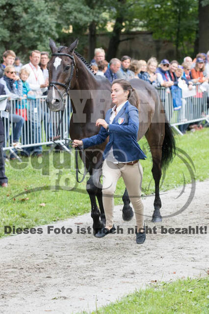 FEI European Championship