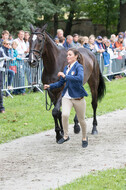 FEI European Championship