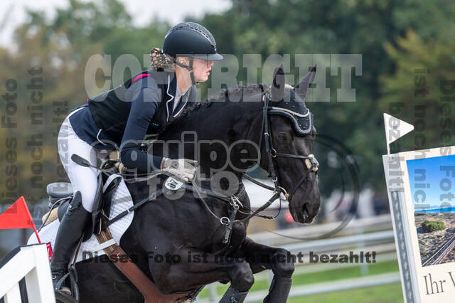 Goldene Schärpe 2020 - Pferde