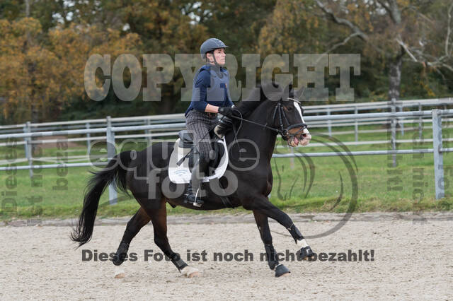 IGV Lehrgang der Sieger der Cups mit Frank Ostholt
