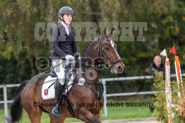 Goldene Schärpe 2020 - Pferde