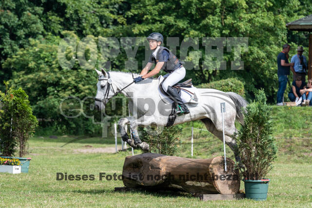 Goldene Schärpe 2021 - Ponys